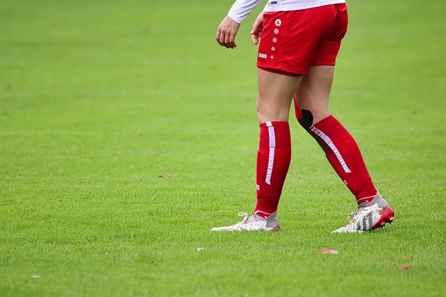 历史第三对组合！东契奇&里夫斯本赛季场均得分同时28+